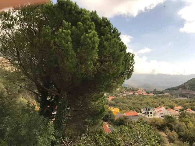 Baugrundstück in Markovice — photo 7
